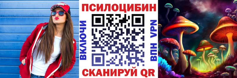 MEGA вход  Струнино  Галлюциногенные грибы Psilocybine cubensis 