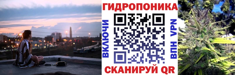 Конопля ГИДРОПОН  МЕГА как войти  Струнино  закладки 